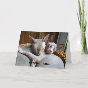 Carte Greeting Cards for Lovers