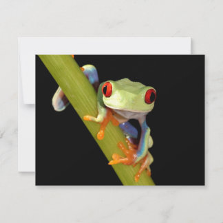 Carte grenouille