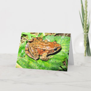 Carte Grenouille à jambes rouge du nord