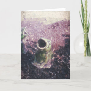 Carte Grenouilles dans le jardin