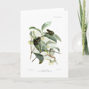 Carte Grenouilles d'arbre