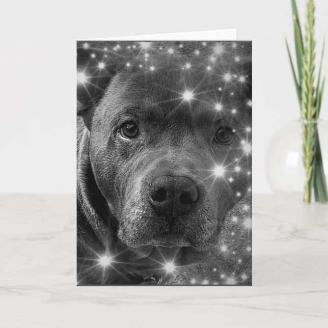 Carte Grey Pitbull Terrier avec Amoureux des chiens Spar (Devant)