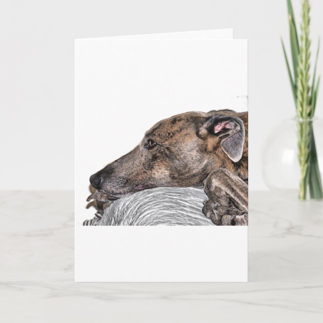 Carte greyhound (Devant)