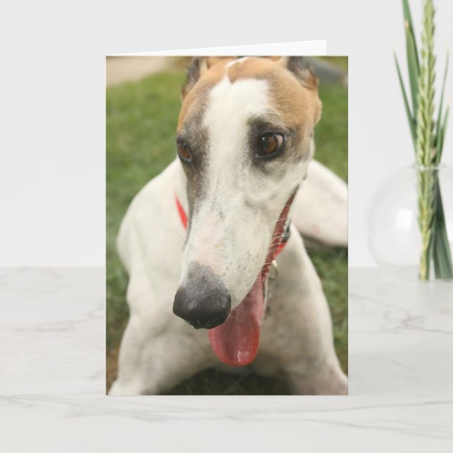 Carte Greyhound (Devant)