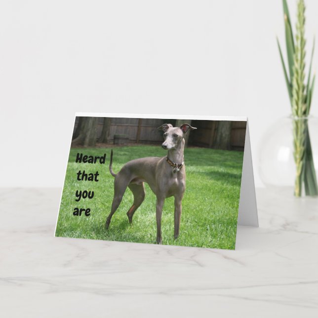 Carte GREYHOUND IRLANDAIS COMÉDIQUE HEUREUX "60ème anniv (Devant)