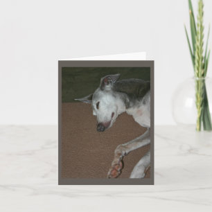 Carte Greyhound italienne #2