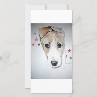 Carte Greyhound Puppy