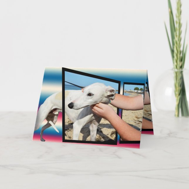 Carte Greyhound Trois Dimensions (Devant)
