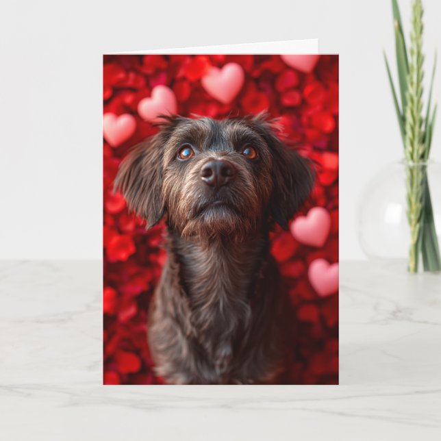 Carte Griffon d'arrêt à poil dur Cœurs Saint-Valentin (Devant)