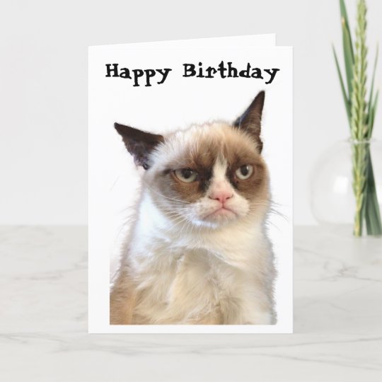 Carte Grincheuse De Joyeux Anniversaire De Chat Zazzle Ca