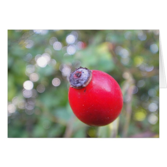 Carte grise (Devant horizontal)