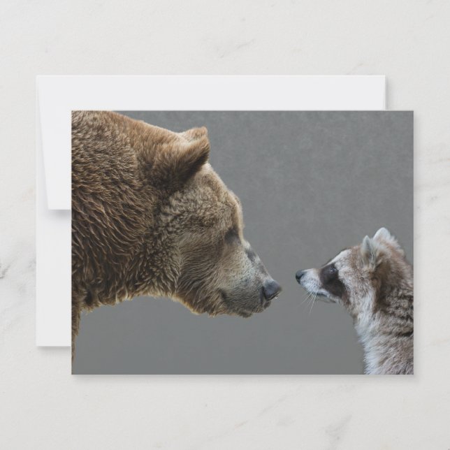 Carte Grizzle Bear rencontre Raccoon (Devant)