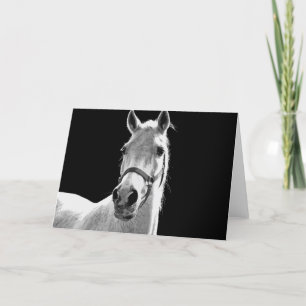 Carte Gros plan Cheval blanc noir en nuit
