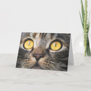 Carte Gros plan de chat avec Yellow Eyes