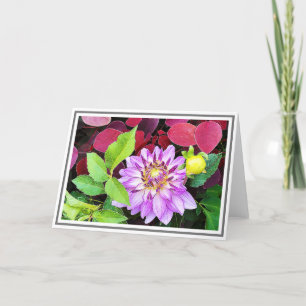 Carte Gros plan Purple Dahlia Green & Red Foliage