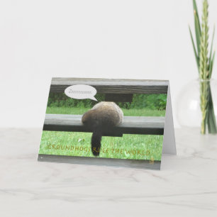 Carte Groundhogs Rule Groundhog Day Grey Card