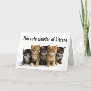 CARTE GROUPE DE "CUTE KITTENS DIT HEUREUX ANNIVERSAIRE"