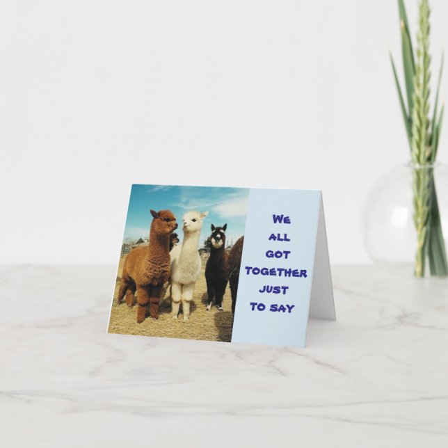 CARTE GROUPE DE "LLAMAS JOYEUX ANNIVERSAIRE" (Devant)