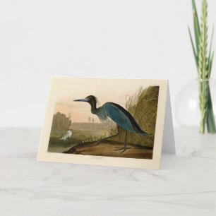Carte Grue bleue Héron Impression Audubon Art côtier