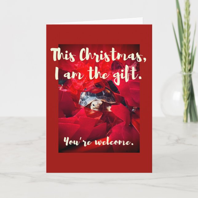 Carte Grumpy mignon bébé Sulcata Tortoise Cadeau de Noël (Devant)