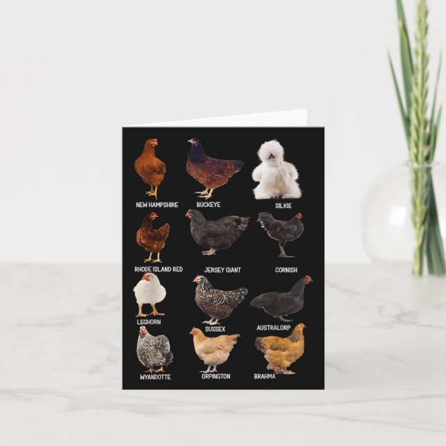 Carte Guide des différentes races de poulets Ferme du Ne (Devant)