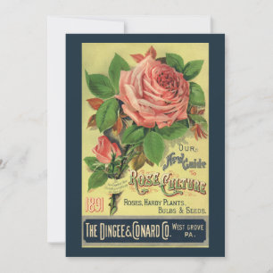 Carte Guide vintage de la couverture d'art du livre sur 