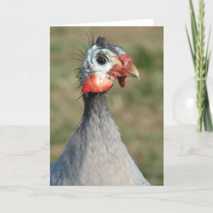 Carte Guinée Fowl