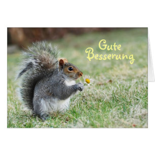 Carte Gute Besserung Cute Squirrel