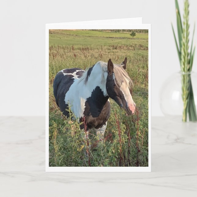 Carte Gypsy pony (Devant)