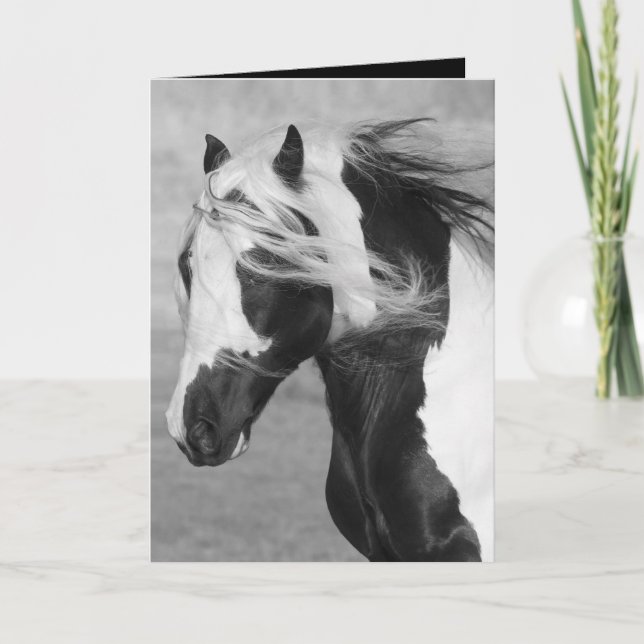 Carte Gypsy Runs Horse Grey Card (Devant)