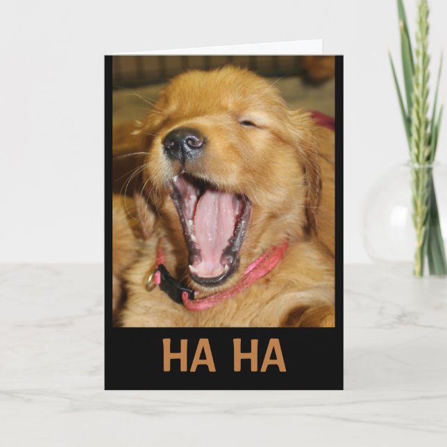 Carte HA HA T'es plus vieux que moi qui rit chiot (Devant)