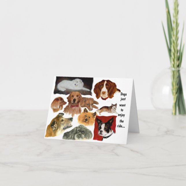 Carte Habitudes amusantes des chiens dans les chats (Devant)