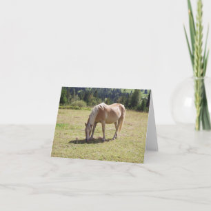 Carte Haflinger Palomino Pony en été Pony Photo