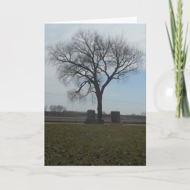 Carte Hallowe’en "Greenwood Cemeemetery Tree" (Devant)