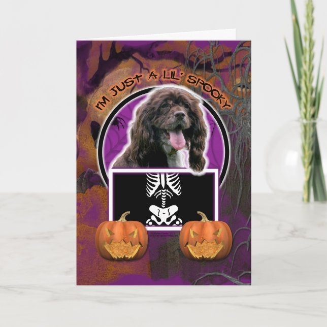 Carte Hallowee, - juste un Lil éffrayant - cocker (Devant)
