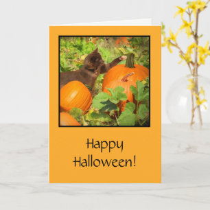 Carte Halloween avec un chaton mignon et une citro
