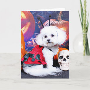 Carte Halloween - Bichon Frise - Mia