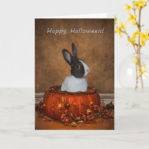 Halloween Bunny dans un Citrouille d'osier