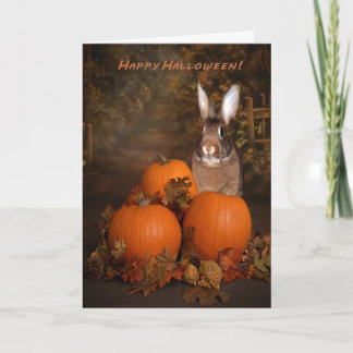 Carte Halloween Bunny dans un patch Citrouille