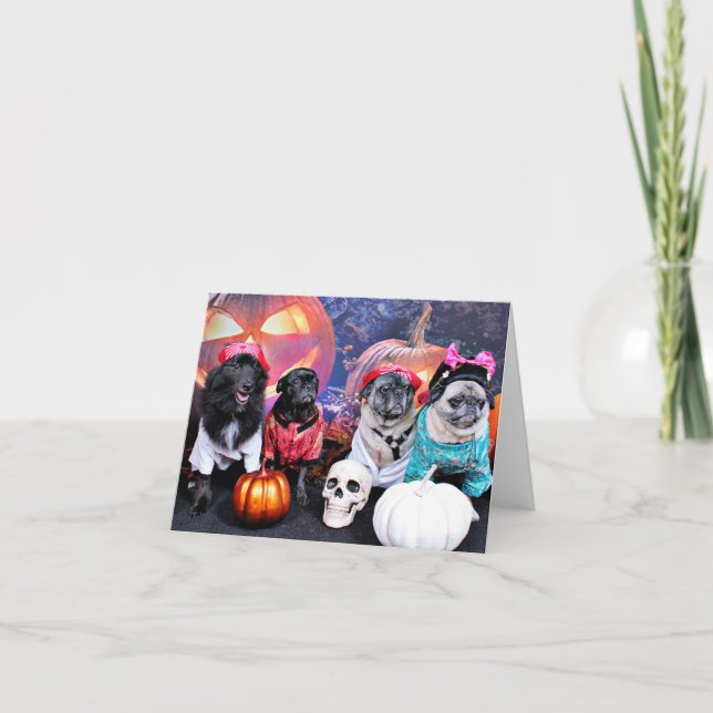 Carte Halloween - carlin - Mme Wiggens d'ours de perle (Devant)