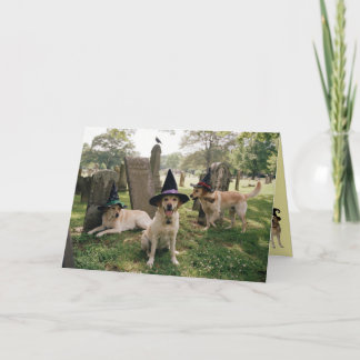 Carte Halloween de sorcière Labrador Retriever