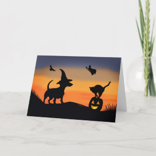 Carte Halloween drôle avec Dachshund Chien Sorcière Corb