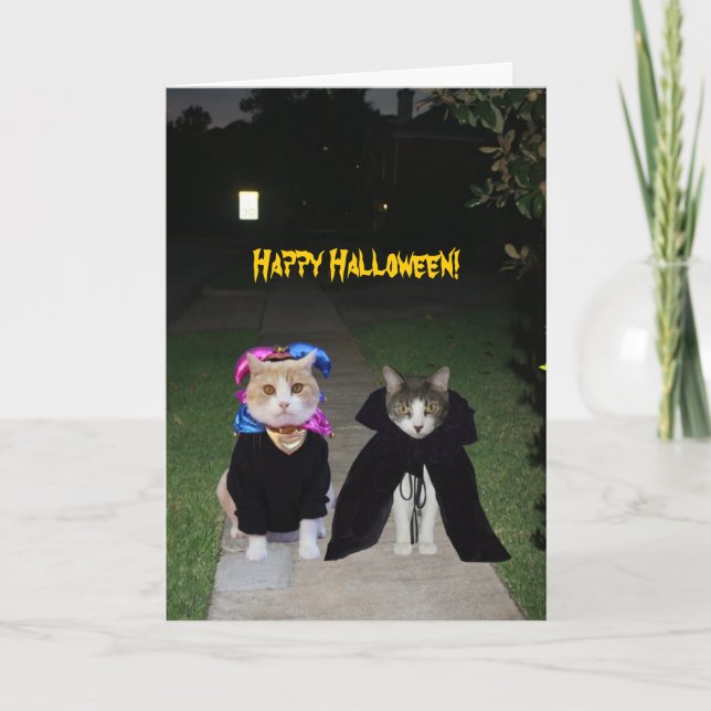 Carte Halloween drôle de chats (Devant)