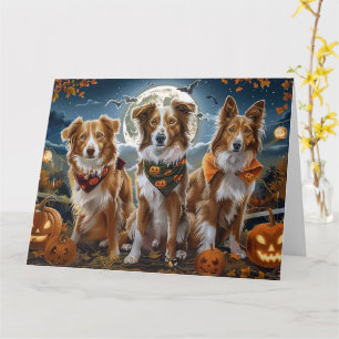 Carte Halloween Éffrayant en Nouvelle-Écosse