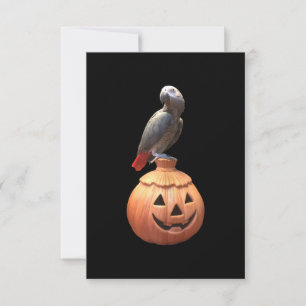 Carte Halloween Jack-O-Lantern perroquet gris africain