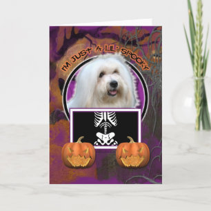Carte Halloween - Just a Lil Éffrayant - Coton de Tulear