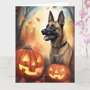 Carte Halloween Malinois Belge Avec Citrouilles Effrayan