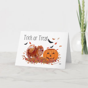 Carte Halloween Pomeranian