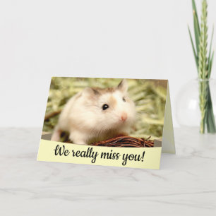 Carte Hammyville - Cute Hamster