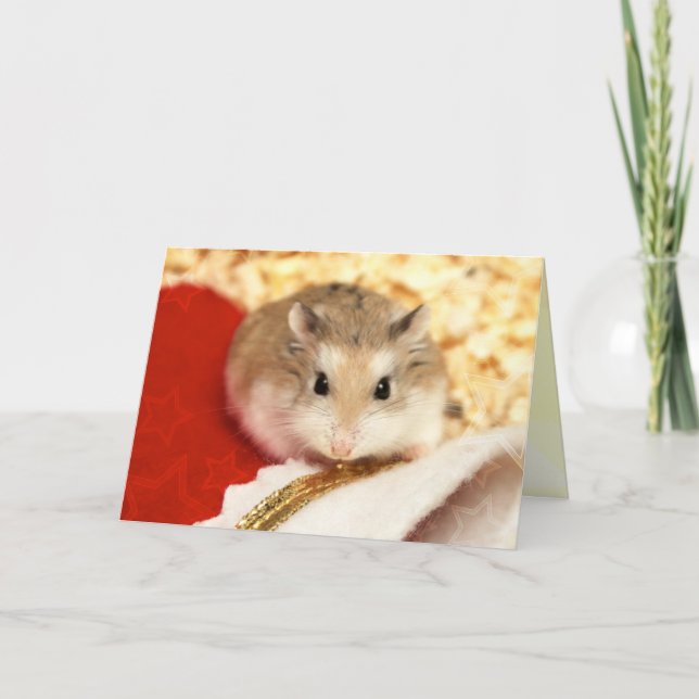 Carte Hammyville - Cute Hamster (Devant)